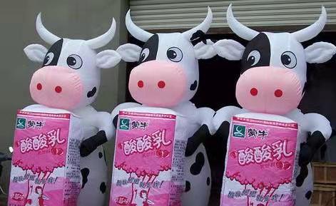 茂南牛奶厂广告气模